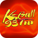 K-Bull 93